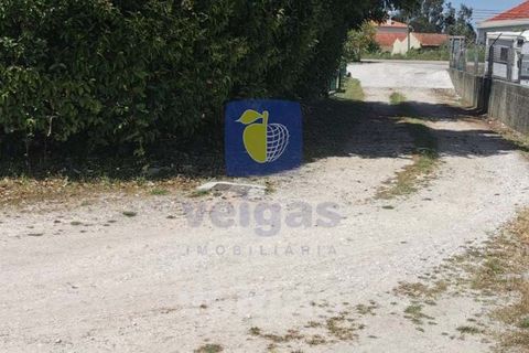 Helårsgrund i Parceiros e Azoia, Leiria, Parceiros e Azoia - € 60.000 | Ref: LIZ-214929 - foto 8