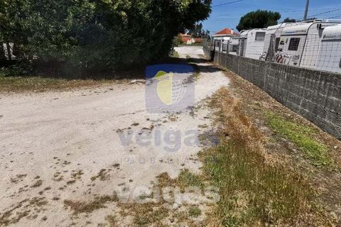 Helårsgrund i Parceiros e Azoia, Leiria, Parceiros e Azoia - € 60.000 | Ref: LIZ-214929 - foto 9