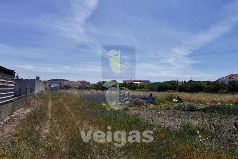 Helårsgrund i Parceiros e Azoia, Leiria, Parceiros e Azoia - € 60.000 | Ref: LIZ-214929 - foto 10