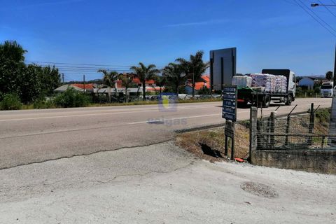 Helårsgrund i Parceiros e Azoia, Leiria, Parceiros e Azoia - € 60.000 | Ref: LIZ-214929 - foto 12