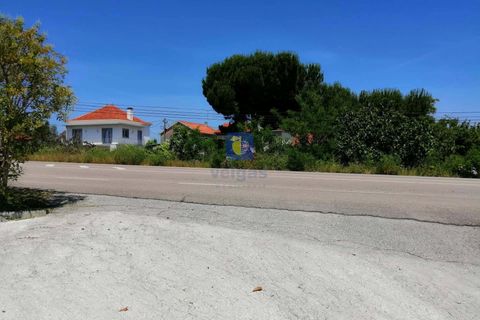 Helårsgrund i Parceiros e Azoia, Leiria, Parceiros e Azoia - € 60.000 | Ref: LIZ-214929 - foto 13