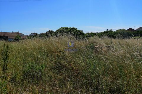 Helårsgrund i Parceiros e Azoia, Leiria, Parceiros e Azoia - € 60.000 | Ref: LIZ-214929 - foto 14