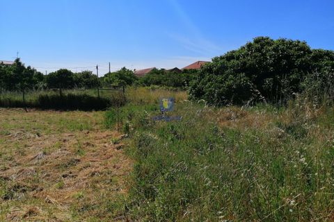 Helårsgrund i Parceiros e Azoia, Leiria, Parceiros e Azoia - € 60.000 | Ref: LIZ-214929 - foto 16