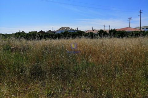Helårsgrund i Parceiros e Azoia, Leiria, Parceiros e Azoia - € 60.000 | Ref: LIZ-214929 - foto 19