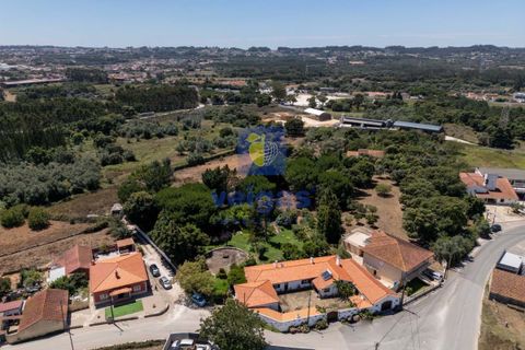 Villa i Alcobaca, Leiria, Alcobaca - € 750.000 | Ref: LIZ-216520 - foto 4