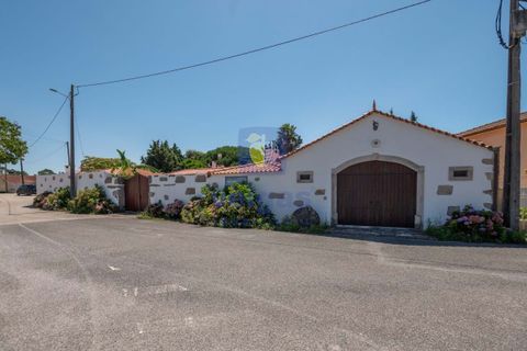Villa i Alcobaca, Leiria, Alcobaca - € 750.000 | Ref: LIZ-216520 - foto 5