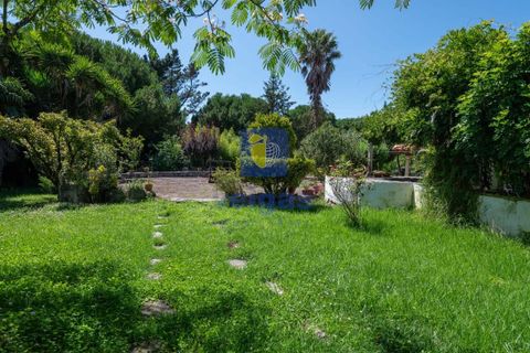 Villa i Alcobaca, Leiria, Alcobaca - € 750.000 | Ref: LIZ-216520 - foto 13