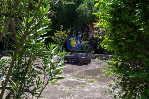 Villa i Alcobaca, Leiria, Alcobaca - € 750.000 | Ref: LIZ-216520 - foto 15