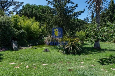 Villa i Alcobaca, Leiria, Alcobaca - € 750.000 | Ref: LIZ-216520 - foto 16