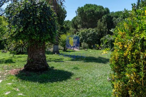 Villa i Alcobaca, Leiria, Alcobaca - € 750.000 | Ref: LIZ-216520 - foto 17