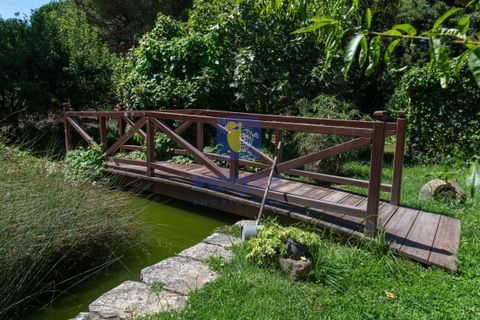 Villa i Alcobaca, Leiria, Alcobaca - € 750.000 | Ref: LIZ-216520 - foto 18
