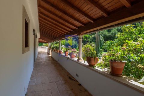 Villa i Alcobaca, Leiria, Alcobaca - € 750.000 | Ref: LIZ-216520 - foto 21