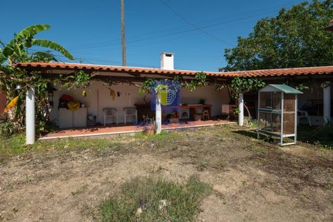 Villa i Alcobaca, Leiria, Alcobaca - € 750.000 | Ref: LIZ-216520 - foto 31