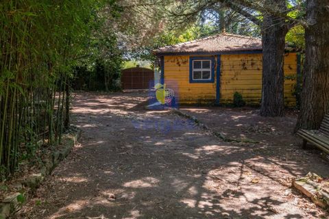 Villa i Alcobaca, Leiria, Alcobaca - € 750.000 | Ref: LIZ-216520 - foto 38