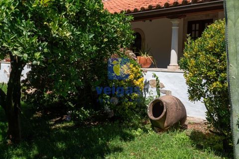 Villa i Alcobaca, Leiria, Alcobaca - € 750.000 | Ref: LIZ-216520 - foto 39