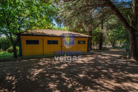 Villa i Alcobaca, Leiria, Alcobaca - € 750.000 | Ref: LIZ-216520 - foto 37