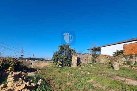 Helårsgrund i Obidos, Leiria, Obidos - € 90.000 | Ref: CAL-205098 - foto 14