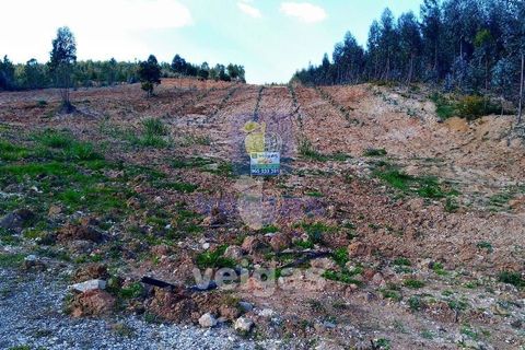 Helårsgrund i Obidos, Leiria, Obidos - € 150.000 | Ref: CAL-204755 - foto 4