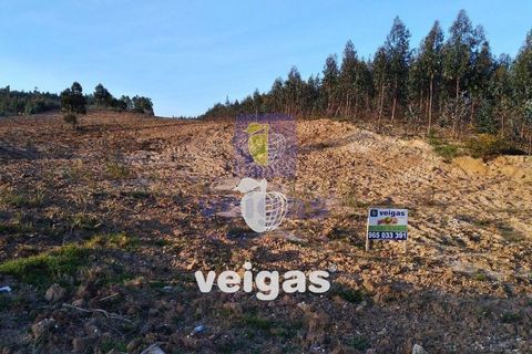 Helårsgrund i Obidos, Leiria, Obidos - € 150.000 | Ref: CAL-204755 - foto 5