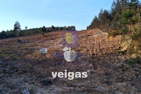 Helårsgrund i Obidos, Leiria, Obidos - € 150.000 | Ref: CAL-204755 - foto 6