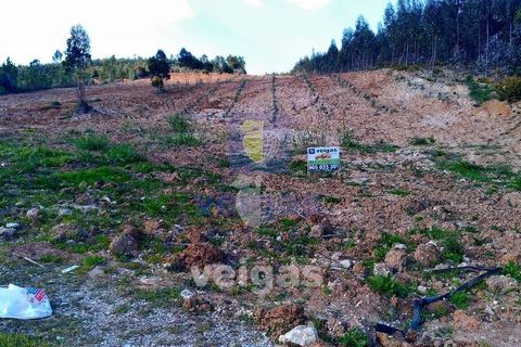 Helårsgrund i Obidos, Leiria, Obidos - € 150.000 | Ref: CAL-204755 - foto 7
