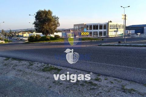 Helårsgrund i Obidos, Leiria, Obidos - € 150.000 | Ref: CAL-204755 - foto 8