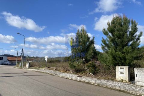 Helårsgrund i Alcobaca, Leiria, Alcobaca - € 32.500 | Ref: CAL-215665 - foto 2