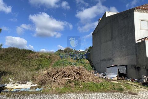 Helårsgrund i Alcobaca, Leiria, Alcobaca - € 32.500 | Ref: CAL-215665 - foto 4