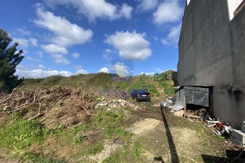 Helårsgrund i Alcobaca, Leiria, Alcobaca - € 32.500 | Ref: CAL-215665 - foto 7