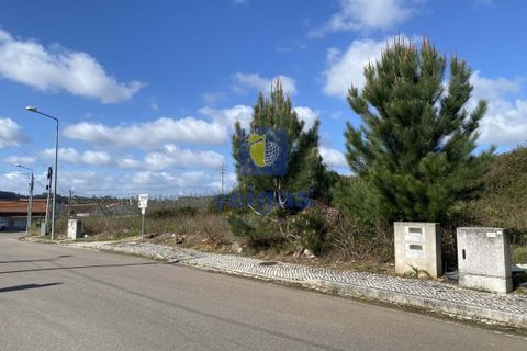 Helårsgrund i Alcobaca, Leiria, Alcobaca - € 32.500 | Ref: CAL-215665 - foto 9
