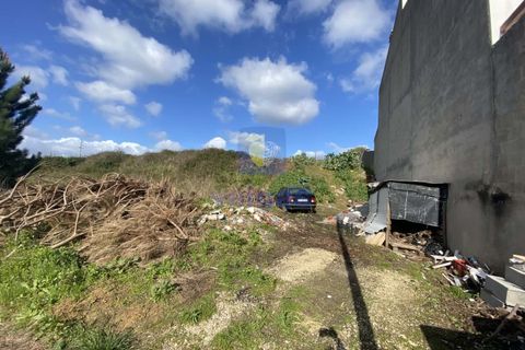 Helårsgrund i Alcobaca, Leiria, Alcobaca - € 32.500 | Ref: CAL-215665 - foto 10