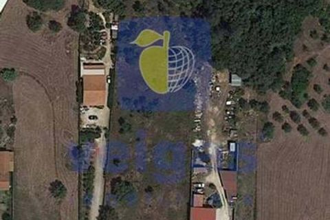 Helårsgrund i Alcobaca, Leiria, Alcobaca - € 32.500 | Ref: CAL-215665 - foto 16
