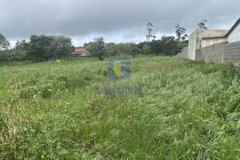 Helårsgrund i Alcobaca, Leiria, Alcobaca - € 31.000 | Ref: CAL-215859 - foto 1