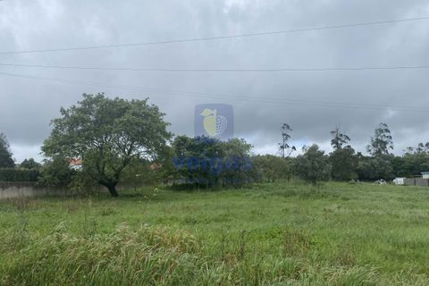 Helårsgrund i Alcobaca, Leiria, Alcobaca - € 31.000 | Ref: CAL-215859 - foto 9