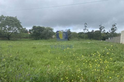 Helårsgrund i Alcobaca, Leiria, Alcobaca - € 31.000 | Ref: CAL-215859 - foto 10