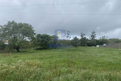 Helårsgrund i Alcobaca, Leiria, Alcobaca - € 31.000 | Ref: CAL-215859 - foto 11