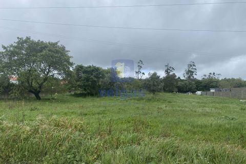 Helårsgrund i Alcobaca, Leiria, Alcobaca - € 31.000 | Ref: CAL-215859 - foto 14