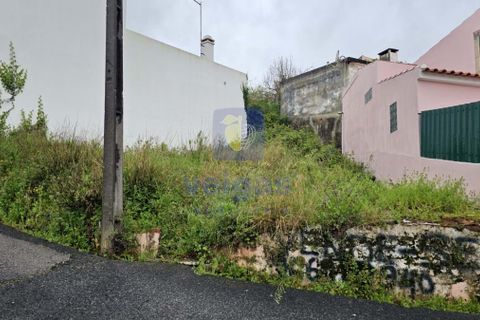 Helårsgrund i Cadaval, Lisbon, Cadaval - € 17.500 | Ref: CAL-215871 - foto 4
