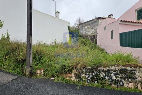 Helårsgrund i Cadaval, Lisbon, Cadaval - € 17.500 | Ref: CAL-215871 - foto 5