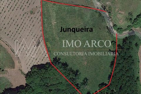 Terra a Cavez, Braga, Cavez - € 55.000 | Ref: ARCO(143) - foto 2