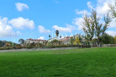 Terra a Cavez, Braga, Cavez - € 55.000 | Ref: ARCO(143) - foto 4
