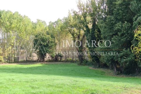 Terra a Cavez, Braga, Cavez - € 55.000 | Ref: ARCO(143) - foto 10