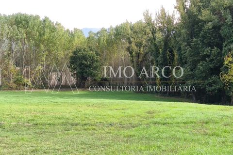 Terra a Cavez, Braga, Cavez - € 55.000 | Ref: ARCO(143) - foto 14