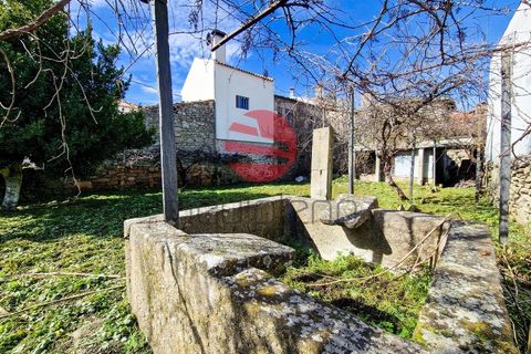Villa i Meda, Guarda, Meda - € 65.000 | Ref: 438/MDA - foto 5