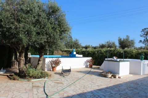 Farm i Estremoz, Evora, Estremoz - € 295.000 | Ref: ALT003/018/2023 - foto 4