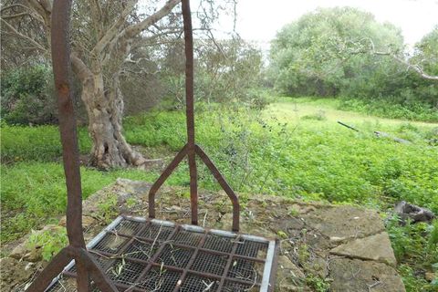 Landejendom i Noto, Siracusa, Noto - € 400.000 | Ref: 352RM - foto 3