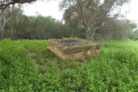 Landejendom i Noto, Siracusa, Noto - € 400.000 | Ref: 352RM - foto 4