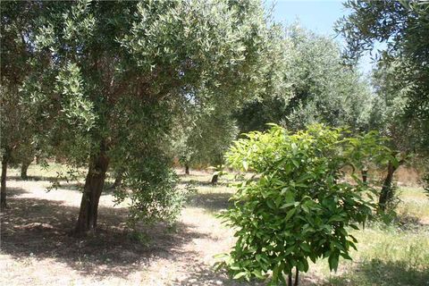 Lejlighed i Noto, Siracusa, Noto - € 370.000 | Ref: 17S - foto 3