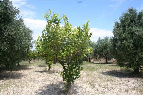 Lejlighed i Noto, Siracusa, Noto - € 370.000 | Ref: 17S - foto 4