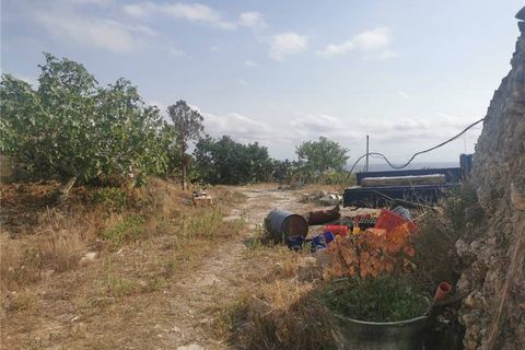 Landejendom i Noto, Siracusa, Noto - € 90.000 | Ref: CTCT - foto 5